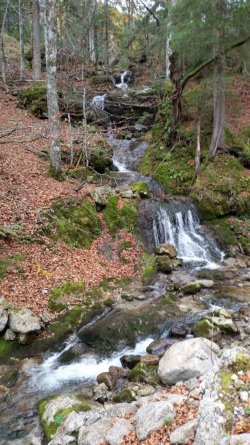 20171105_121535_small.jpg