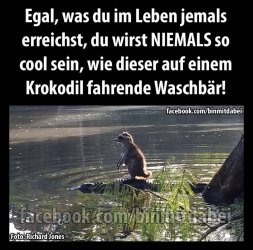B20B12A6-BAB9-4F35-A354-2CE4EBF48A03.jpeg