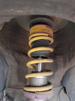 V3 (Mittel).jpg