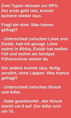 4Unbenannt.JPG