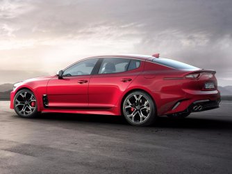 stinger2.jpg