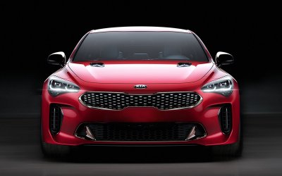 stinger3.jpg