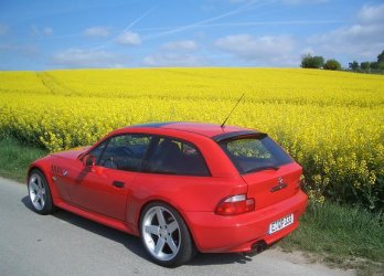 Bild 040a.JPG