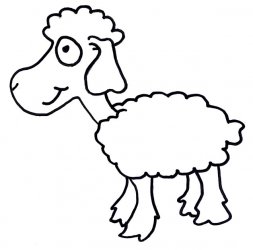 sheep.jpg