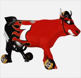 race cow.jpg