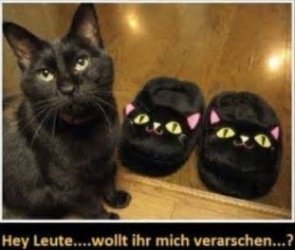 tUnbenannt.JPG