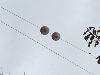 IMG_0095.JPG