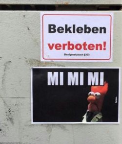 4Unbenannt.JPG