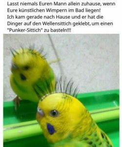 7Unbenannt.JPG