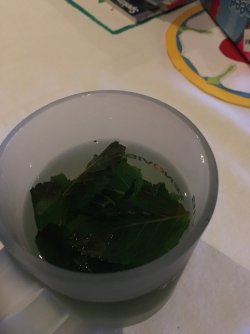 IMG_7285.JPG