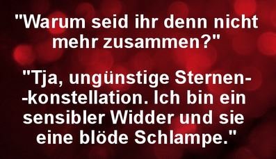 7Unbenannt.JPG