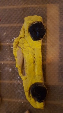 IMG-20171209-WA0021.jpg