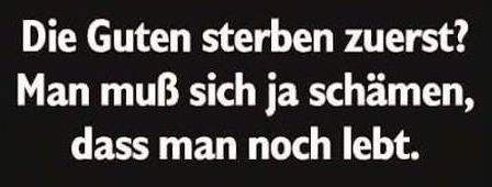 7Unbenannt.JPG