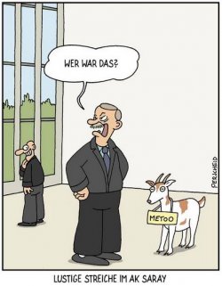 3Unbenannt.JPG
