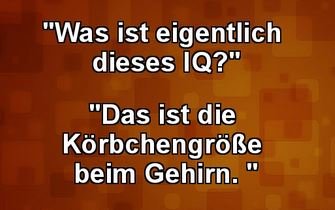 3Unbenannt.JPG