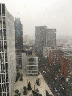 IMG_7340.JPG