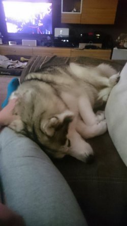 1513624853559.jpg 1513624853559.jpg