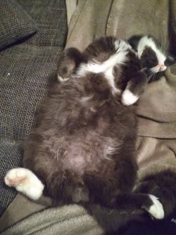 IMG_20171106_200834_HHT.jpg IMG_20171106_200834_HHT.jpg