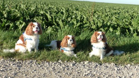 S1290001kl.JPG S1290001kl.JPG