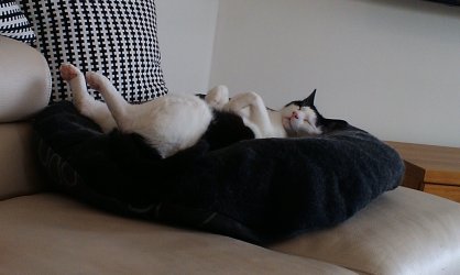 IMAG0868.jpg IMAG0868.jpg