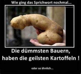 IMG-20171220-WA0014.jpg