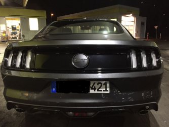 Mustang_hinten_5930.jpg