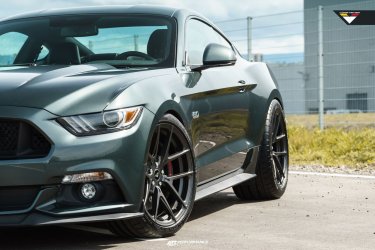 mustang2.jpg