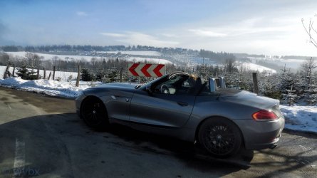 zr6153.jpg