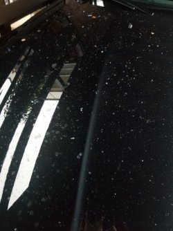 20180101_160227.jpg