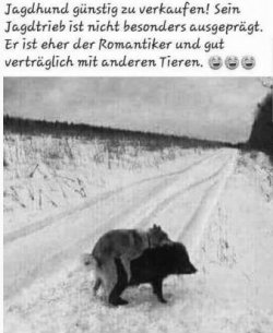6Unbenannt.JPG