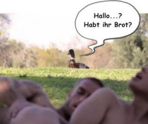 16Unbenannt.JPG