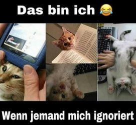 ttUnbenannt.JPG