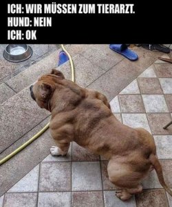 tUnbenannt.JPG