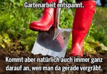 4Unbenannt.JPG