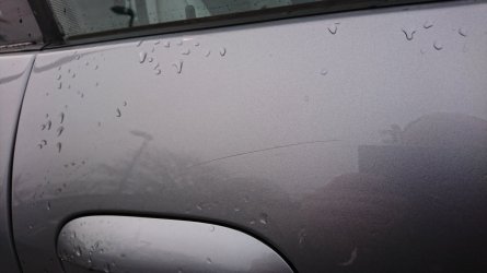 DSC_0197_1.JPG