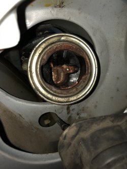 IMG_2183.jpg IMG_2183.jpg