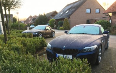 Frostig-small.jpg