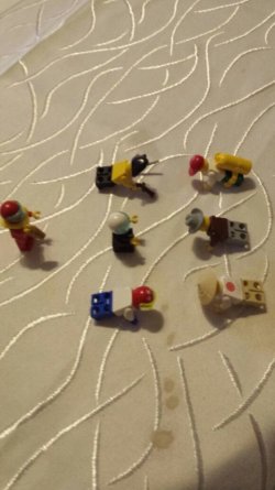 IMG-20180204-WA0014.jpg