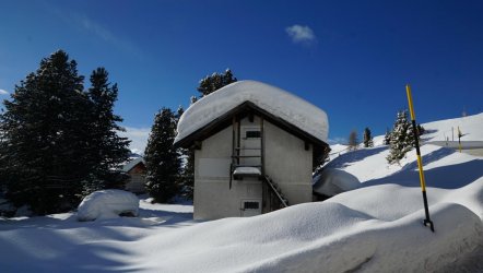 DSC07930.JPG