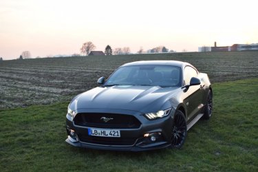 Mustang_vorne_klein.jpg