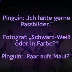55ea38e6-c89b-4400-ba1b-8341c54899fb.jpg