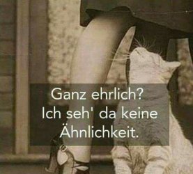 7Unbenannt.JPG
