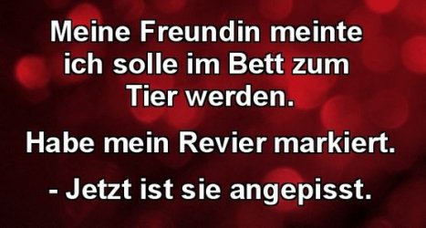 11Unbenannt.JPG