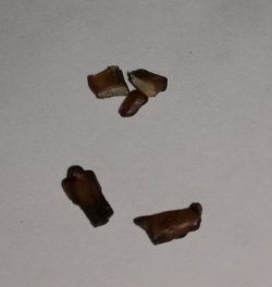 IMG_20180210_015815.jpg