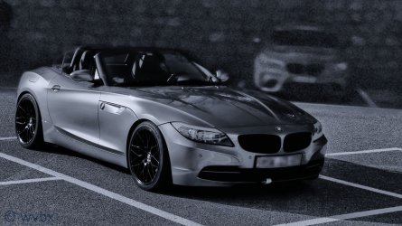 zr50701.JPG