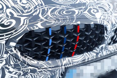 g29 individual 2.JPG