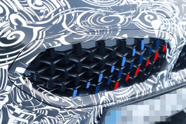 g29 individual 3.JPG