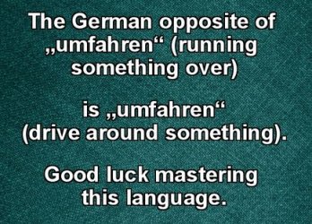 2Unbenannt.JPG