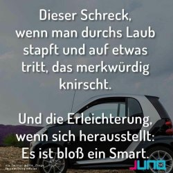 1518976012318.jpg