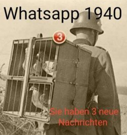3Unbenannt.JPG